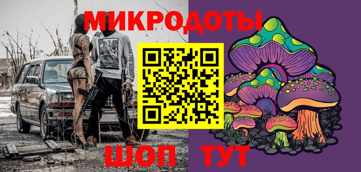 Галлюциногенные грибы Psilocybe Камышлов