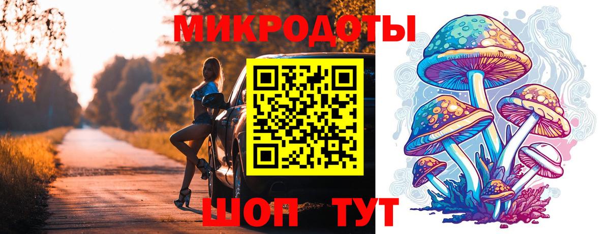 Камышлов  Псилоцибиновые грибы Magic Shrooms  Вход с VPN 